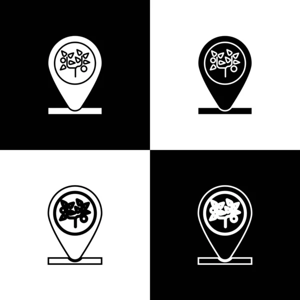 Ort und Baum-Symbol isoliert auf schwarz-weißem Hintergrund setzen. Vektorillustration — Stockvektor