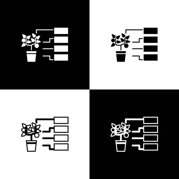 Set Flower elemzés ikon elszigetelt fekete-fehér háttér. Vektorillusztráció — Stock Vector
