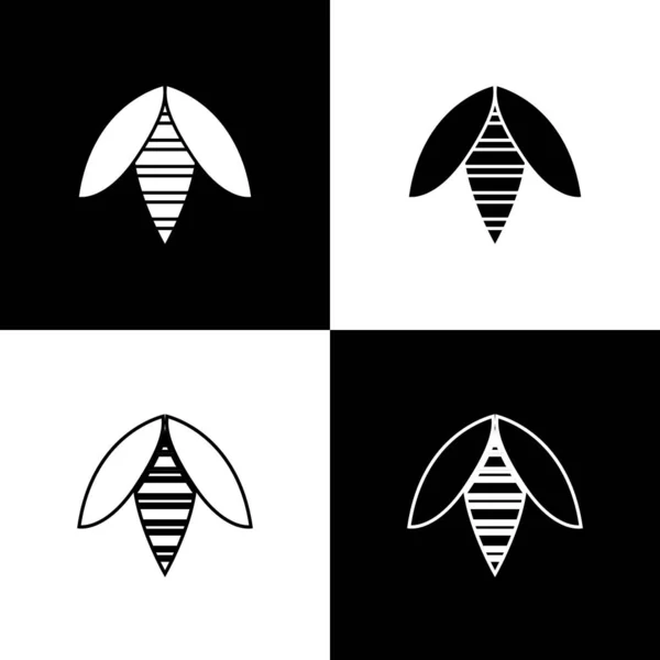 Bienensymbol isoliert auf schwarzem und weißem Hintergrund setzen. süße natürliche Nahrung. Honigbiene oder Apis mit Flügeln Symbol. Fliegendes Insekt. Vektorillustration — Stockvektor