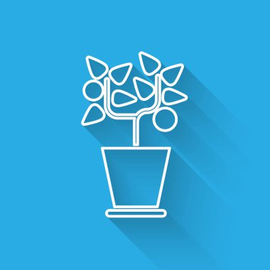 Beyaz çizgili saksı bitkisi uzun gölgeli tencere simgesinde izole edilmiş. Tencerede yetişen bir bitki. Saksı bitkisi işareti. Vektör İllüstrasyonu