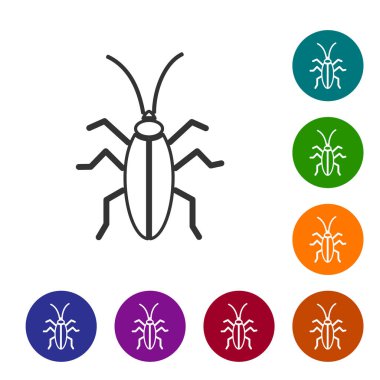 Gri çizgi hamamböceği simgesi beyaz arkaplanda izole edilmiş. Simgeleri renk daire düğmelerine ayarla. Vektör İllüstrasyonu