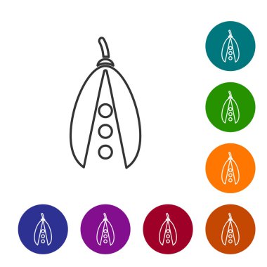 Gri çizgili fasulye ikonu beyaz arka planda izole edilmiş. Simgeleri renk daire düğmelerine ayarla. Vektör İllüstrasyonu