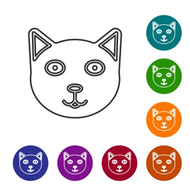 Gri çizgi evcil hayvan simgesi beyaz arkaplanda izole edildi. Simgeleri renk daire düğmelerine ayarla. Vektör İllüstrasyonu