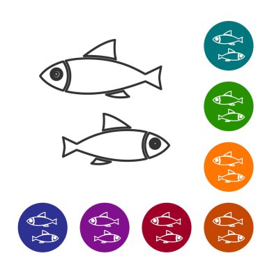 Gri çizgi Balık simgesi beyaz arkaplanda izole edildi. Simgeleri renk daire düğmelerine ayarla. Vektör İllüstrasyonu