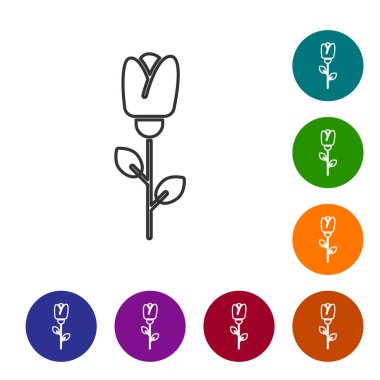 Gri çizgi çiçek gül ikonu beyaz arkaplanda izole edildi. Simgeleri renk daire düğmelerine ayarla. Vektör İllüstrasyonu