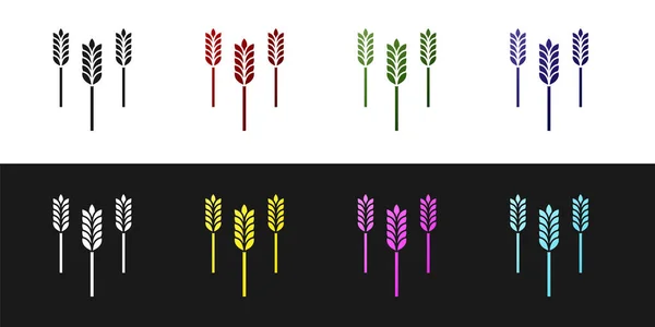 Set Céréales serties de riz, blé, maïs, avoine, seigle, orge icône isolée sur fond noir et blanc. Oreilles de pain de blé symboles. Illustration vectorielle — Image vectorielle