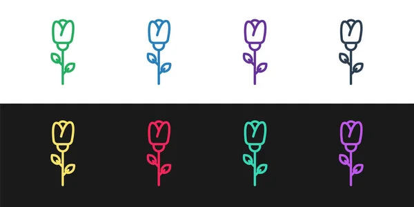 Set line Flower rose icon isolated on black and white background. Vector Illustration — 스톡 벡터