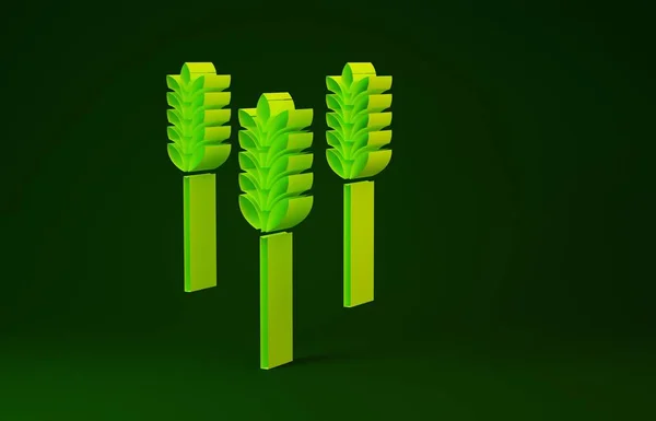 Cereales amarillos con arroz, trigo, maíz, avena, centeno, cebada icono aislado sobre fondo verde. Orejas de pan de trigo símbolos. Concepto minimalista. 3D ilustración 3D render —  Fotos de Stock