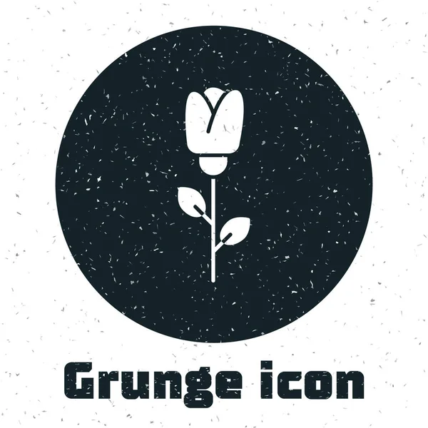 Grunge Flower Rose Icon Isolated White Background Vector Illustration — 스톡 벡터