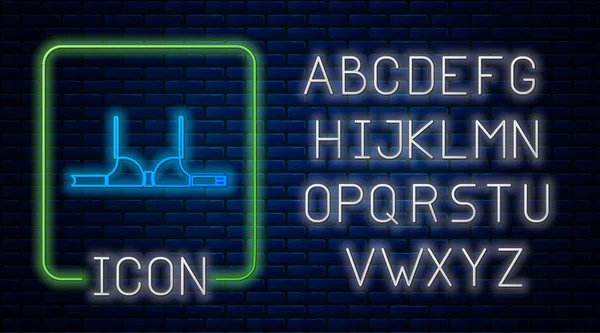 Leuchtende Neon Symbol Isoliert Auf Backsteinwand Hintergrund Damenunterwäsche Neonlicht Alphabet — Stockvektor