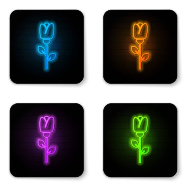 Glowing neon Flower rose icon isolated on white background. Black square button. Vector Illustration
