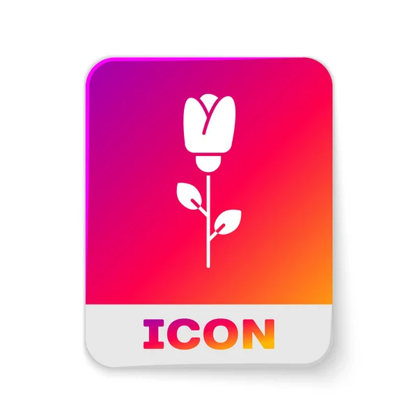 White Flower Rose Icon Isolated White Background Rectangle Color Button — 스톡 벡터