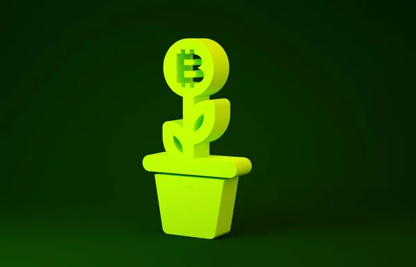 Yellow Bitcoin plant in the pot icon isolated on green background. Business investment growth concept. Blockchain technology, cryptocurrency mining. Minimalism concept. 3d illustration 3D render — 스톡 사진