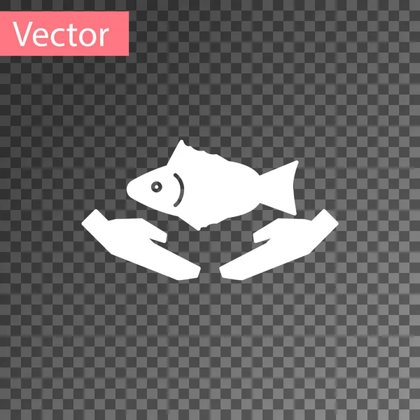 Icono Cuidado White Fish Aislado Sobre Fondo Transparente Ilustración Vectorial — Vector de stock