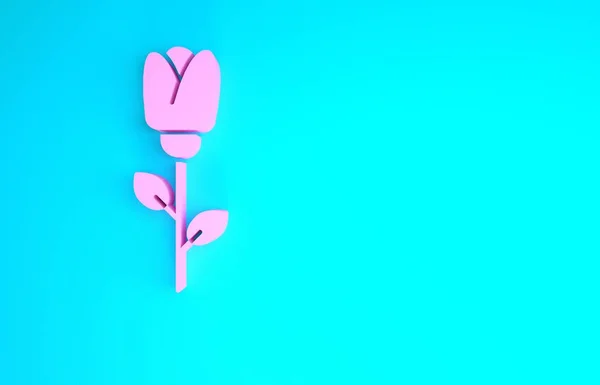 Pink Flower rose icon isolated on blue background. Minimalism concept. 3d illustration 3D render — Stock Photo, Image