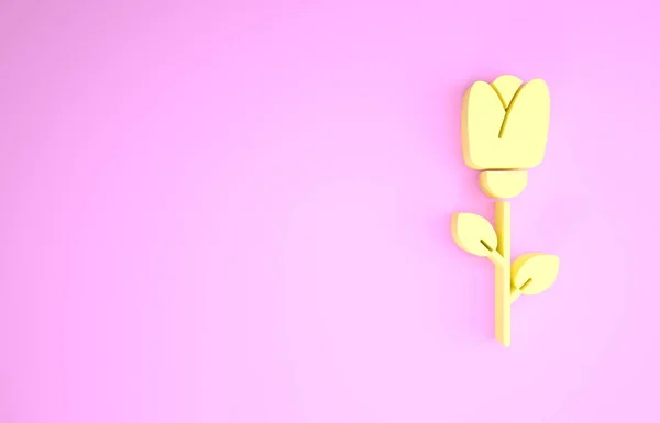 ピンクの背景に黄色の花のバラのアイコンが孤立した。最小限の概念。3Dイラスト3Dレンダリング — ストック写真
