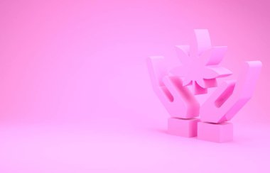 Pembe tıbbi marihuana ya da pembe arka planda izole edilmiş kenevir yaprağı ikonu. Kenevir sembolü. Minimalizm kavramı. 3d illüstrasyon 3d canlandırma