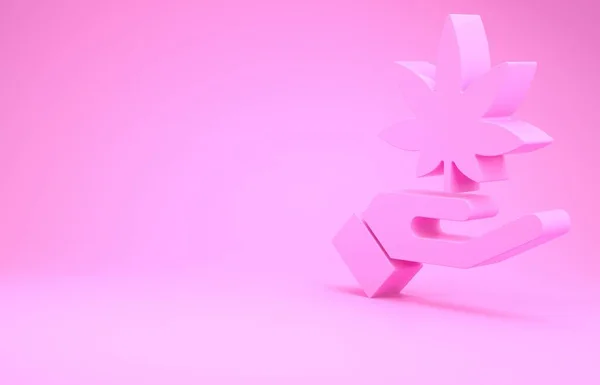 Рожева Медична Марихуана Або Значок Листя Конопель Ізольовані Рожевому Фоні — стокове фото