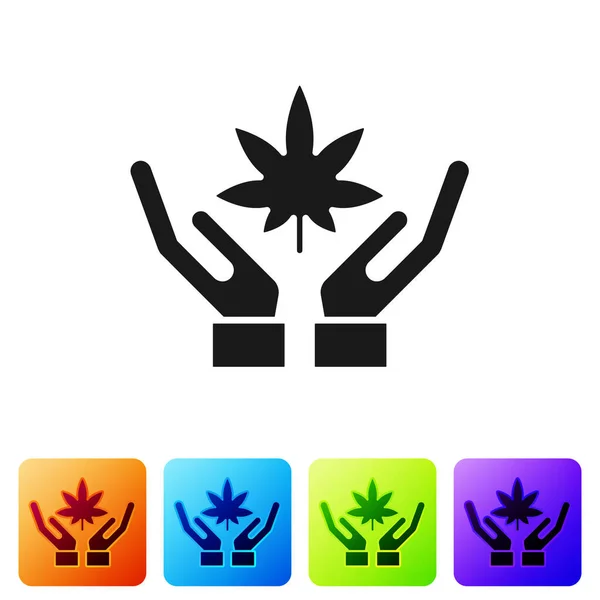 Черная медицинская марихуана или икона листьев конопли изолированы на белом фоне. Символ конопли. Поставьте их в цветные квадратные пуговицы. Векторная миграция — стоковый вектор