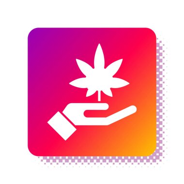 Beyaz arka planda beyaz tıbbi marihuana ya da kenevir yaprağı ikonu var. Kenevir sembolü. Kare renk düğmesi. Vektör İllüstrasyonu