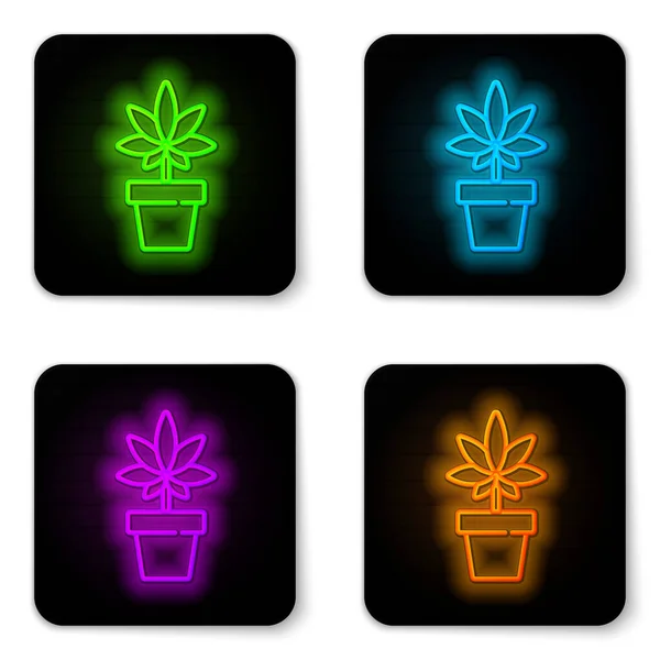 Świecąca Neonowa Linia Medyczna Marihuana Lub Marihuana Ikonie Marihuany Izolowane — Wektor stockowy