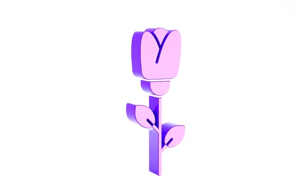 白い背景に紫色の花のバラのアイコンが孤立した。最小限の概念。3Dイラスト3Dレンダリング — ストック写真