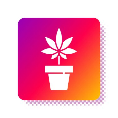 Beyaz arka planda izole edilmiş esrar ikonundaki beyaz tıbbi marihuana veya kenevir bitkisi. Esrar yetiştirme konsepti. Kenevir saksısı. Kare renk düğmesi. Vektör İllüstrasyonu