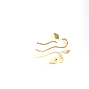 Altın Rüzgar simgesi beyaz arkaplanda izole edildi. Rüzgarlı bir hava. 3d illüstrasyon 3d canlandırma