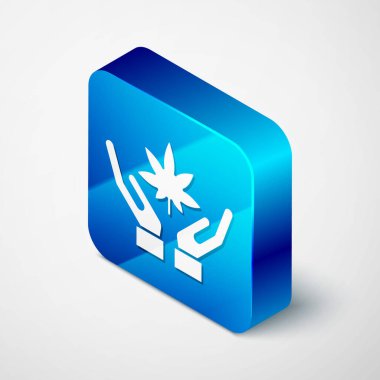 Gri arka planda izole edilmiş Isome Tıbbi marihuana veya kenevir yaprağı ikonu. Kenevir sembolü. Mavi kare düğme. Vektör İllüstrasyonu