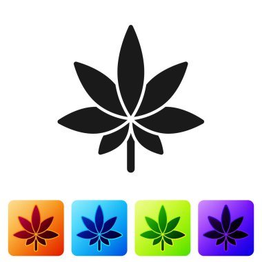 Siyah tıbbi marihuana ya da kenevir yaprağı ikonu beyaz arka planda izole edilmiş. Kenevir sembolü. Renkli kare düğmelerle simgeleri ayarla. Vektör İllüstrasyonu