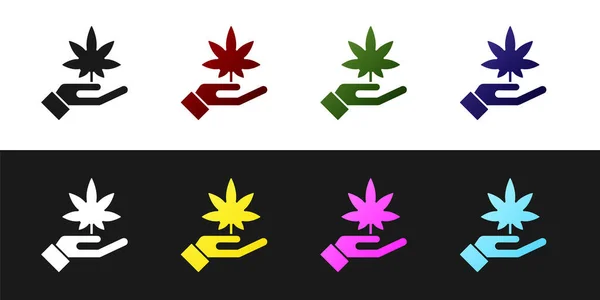 Set Icona Medica Marijuana Foglie Cannabis Isolata Sfondo Bianco Nero — Vettoriale Stock