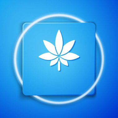 Mavi arka planda beyaz tıbbi marihuana ya da kenevir yaprağı ikonu var. Kenevir sembolü. Mavi kare düğme. Vektör İllüstrasyonu