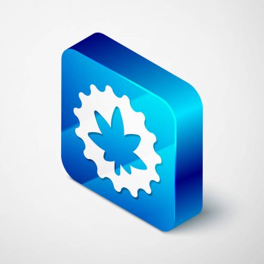 Gri arka planda izole edilmiş Isome Tıbbi marihuana veya kenevir yaprağı ikonu. Kenevir sembolü. Mavi kare düğme. Vektör İllüstrasyonu