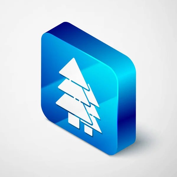 Ισομετρική Εικόνα Δέντρου Απομονωμένη Γκρι Φόντο Σύμβολο Δάσους Μπλε Τετράγωνο — Διανυσματικό Αρχείο