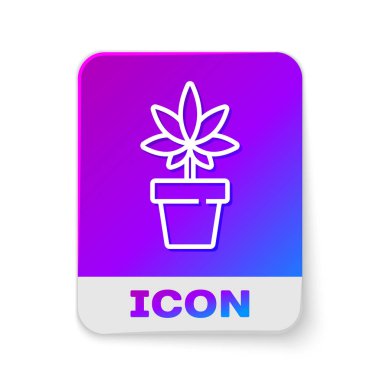 Beyaz çizgi. Tıbbi marihuana ya da esrar bitkisi. Beyaz arka planda izole edilmiş esrar ikonu. Esrar yetiştirme konsepti. Kenevir saksısı. Dikdörtgen renk düğmesi. Vektör İllüstrasyonu