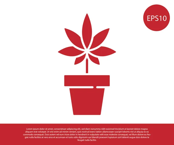 Red Medical Marihuana Nebo Konopí Rostlina Květináči Ikona Izolované Bílém — Stockový vektor