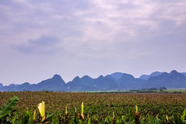 Bahar manzara pastoral sahne 