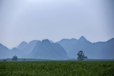 kırsal manzara bahar 