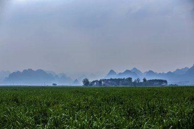 kırsal manzara bahar 