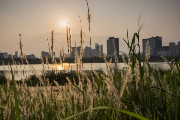 The beautiful sunset — Stock Photo, Image