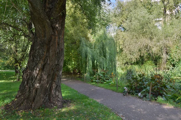 pad in een botanische tuin  