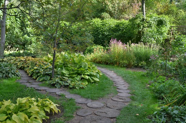 Chemin dans un jardin botanique Image En Vente