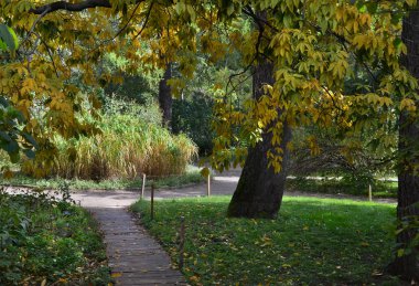 pad in een botanische tuin