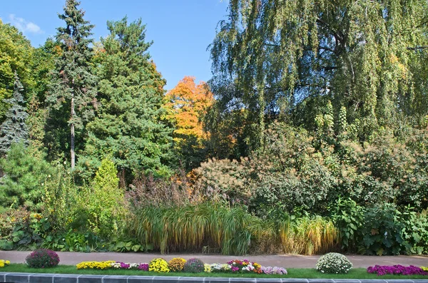 Parede verde em um jardim botânico em Moscou — Fotografia de Stock