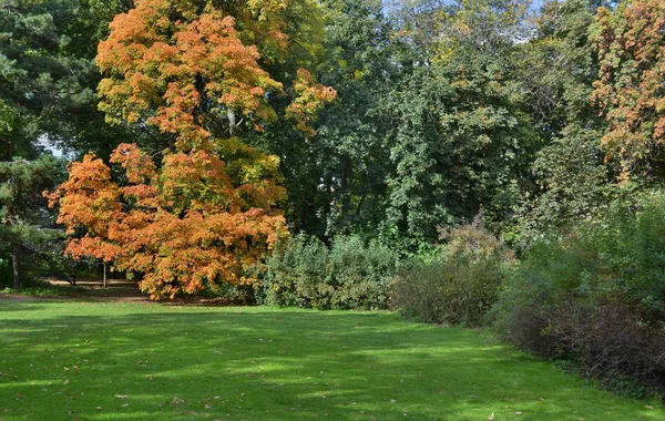 Lawn in a botanical garden — Stock Photo, Image