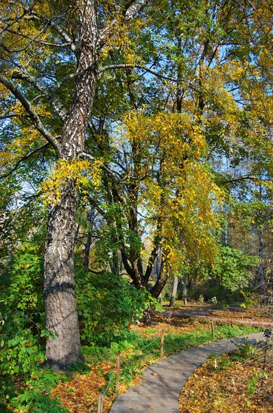 Cesta v botanické zahradě — Stock fotografie