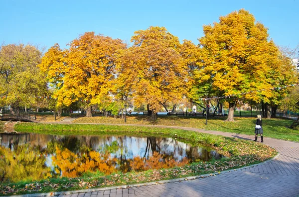 Teich im Park — Stockfoto