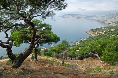 Kırım sahil yakınındaki Sevastopol