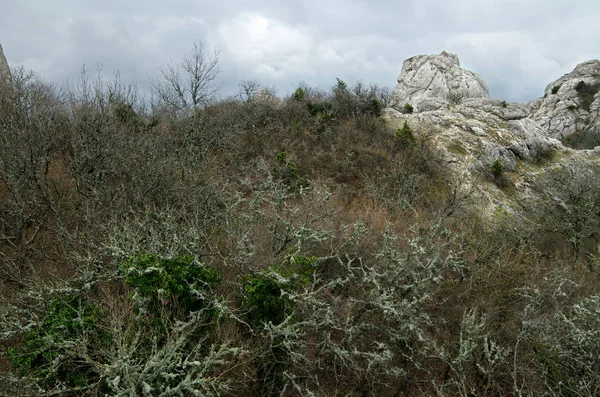 Hills in Crimea — Stock Photo, Image