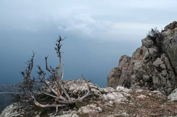 Las colinas en la Crimea —  Fotos de Stock